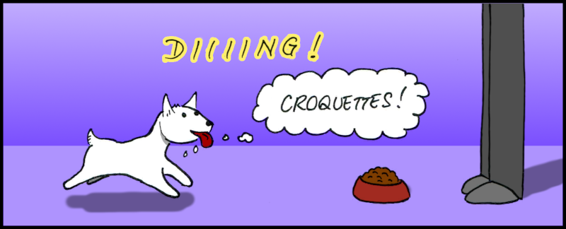 Ding ! Croquettes !
